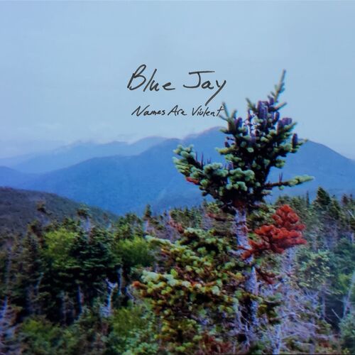 Blue Jay cover art