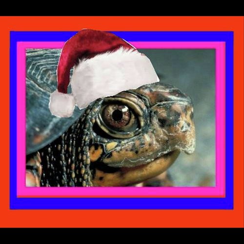 Christmas Carols cover art