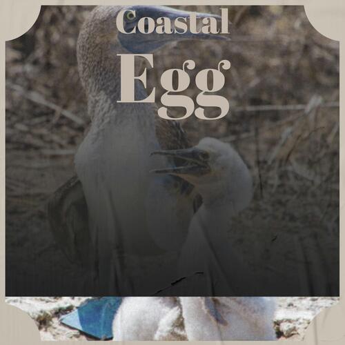 Coastal Egg cover art