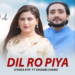 Dil Ro Piya-JhAdegYCAgI