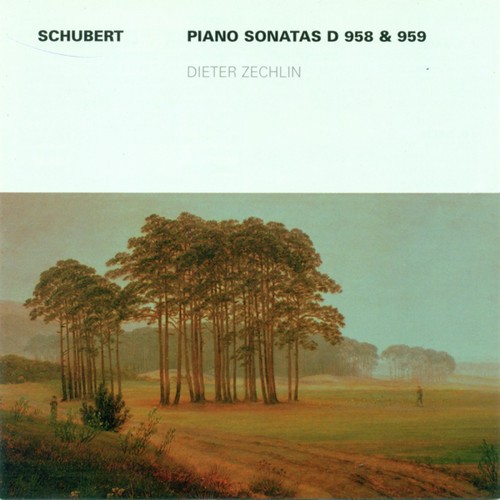 Franz Schubert: Piano Sonatas Nos. 19 and 20 (Zechlin)