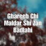 Ghareeb Chi Maldar Shi Zan Badlahi