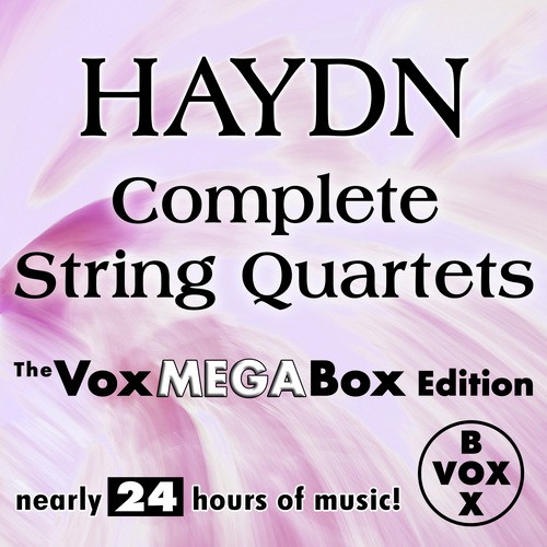 String Quartet in D Major, Op. 20 No. 4, Hob. III:34: II. Un poco adagio e affettuoso