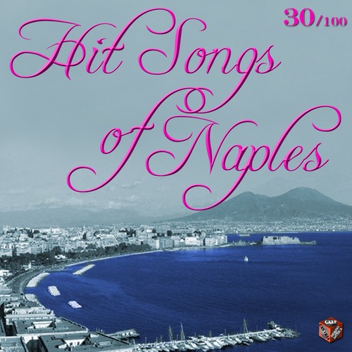 Hit Songs of Naples, Vol. 5