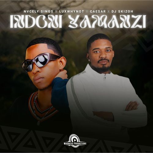 Indoni Yamanzi (feat. Dj Skizoh BW & DJ Kap)_poster_image