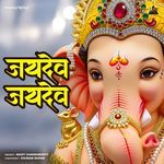 Jaidev Jaidev artwork