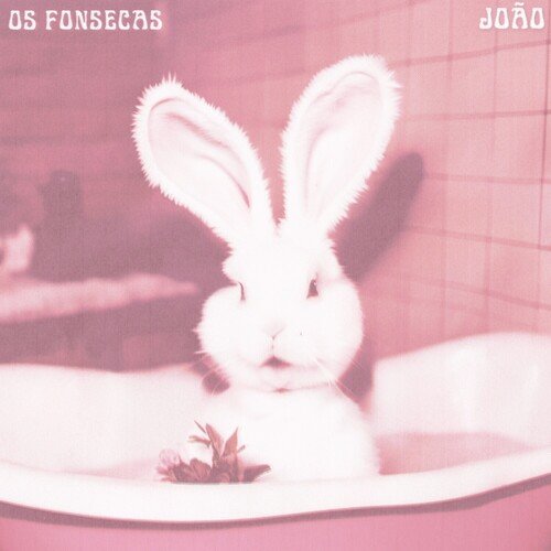 João cover art