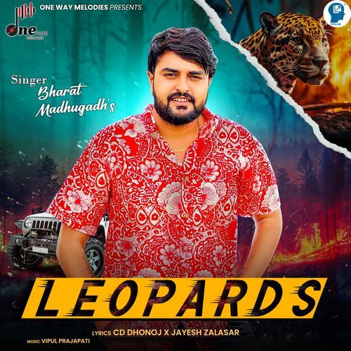 Leopards_poster_image