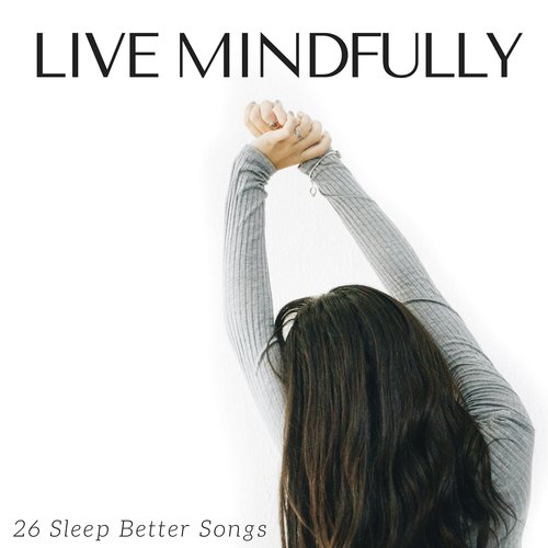 Mindful Spirit cover art