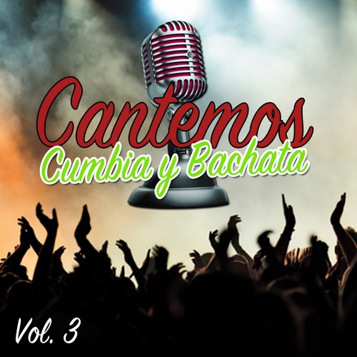 Los Palmeras (Versión Karaoke) cover art