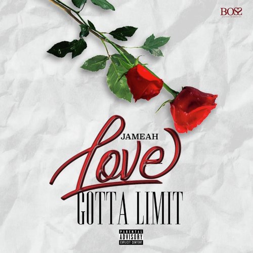 Love Gotta Limit cover art