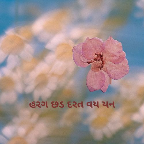 હરગ છડ દરત વય યન