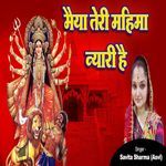 Maiya Teri Mahima Nyari Hai