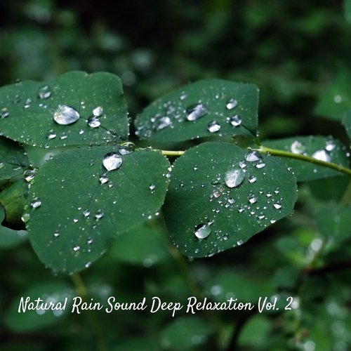 Natural Rain Sound Deep Relaxation Vol. 2