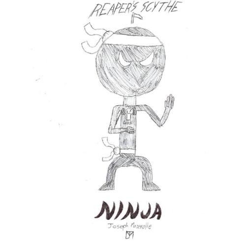 Ninja cover art