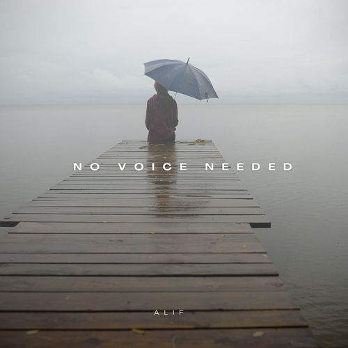 No Voices Needed