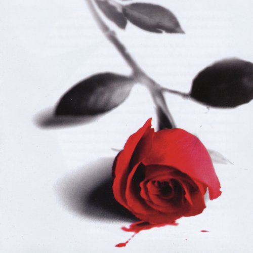 Never Bled Like This cover art