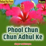 Phool Chun Chun Adhul Ke