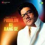 Phoolon Ke Rang Se artwork