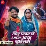 Pilu Paka Ne Aana Aaya Saheldi (Dj Remix)