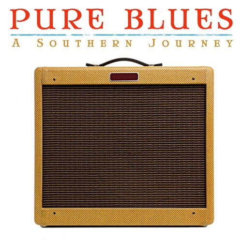 Pure Blues A Southern Journey