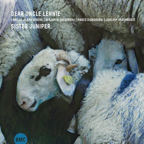 daniele cover art