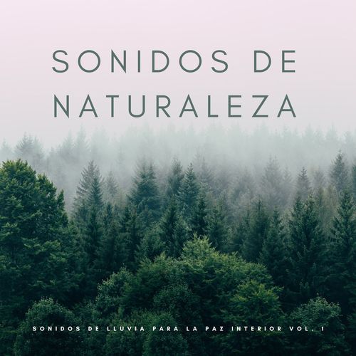 Nubes Rompiendo cover art