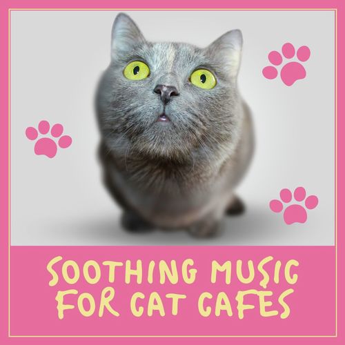 Relax My Cat cover art