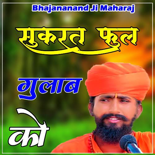 Sukrat Ful Gulab Ko