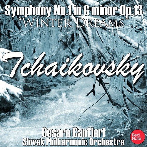 Symphony No.1 "Winter Dreams" in G Minor, Op.13: II. Land of gloom, land of mist, Adagio cantabile, ma non tanto