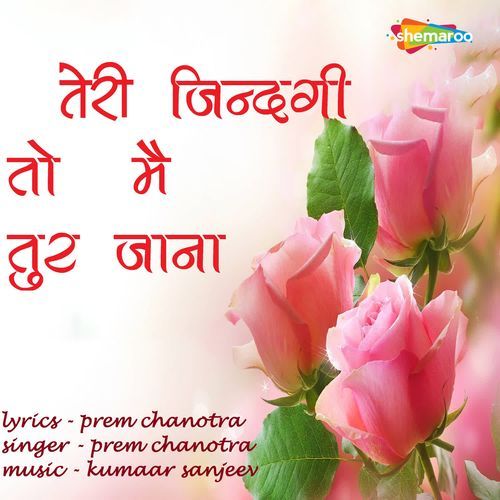 Teri Zindagi To Mai Tur Jaana