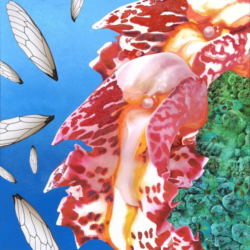 Touche (Eat My Butterfly Remix) cover art