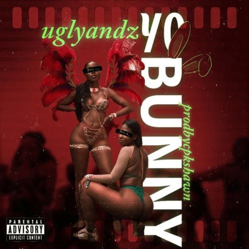 Yo Bunny cover art
