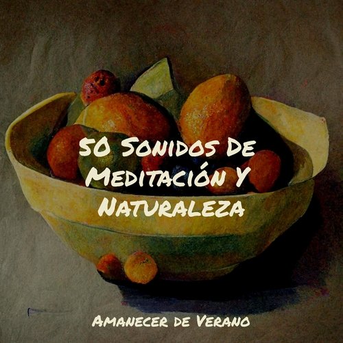 50 Sonidos De Meditación Y Naturaleza