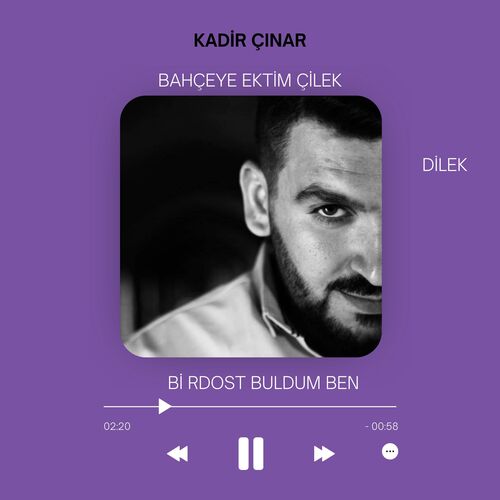Dilek cover art