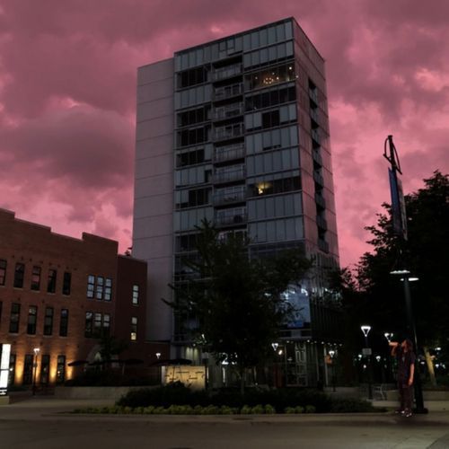Sleepless Nights in Arkansas cover art