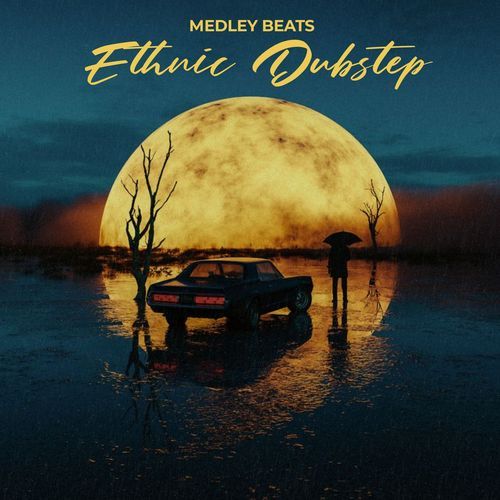 Ethnic Dubstep-okv tunes