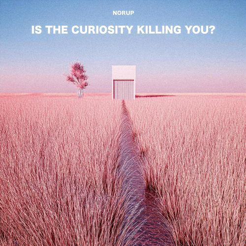 IS THE CURIOSITY KILLING YOU?