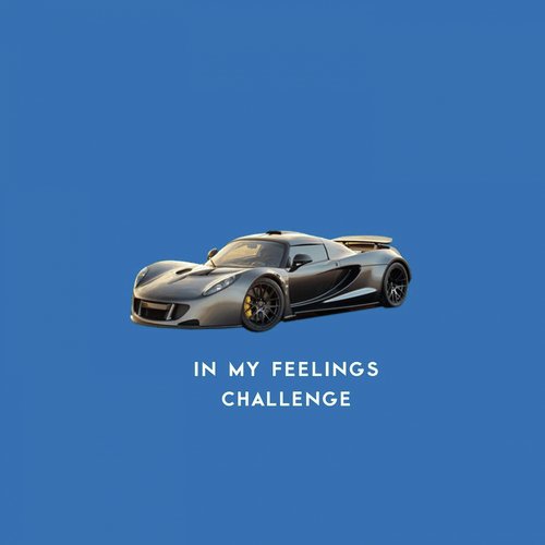 In My Feelings Challenge_poster_image