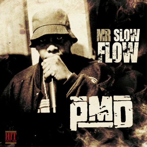 Mr. Slow Flow_poster_image