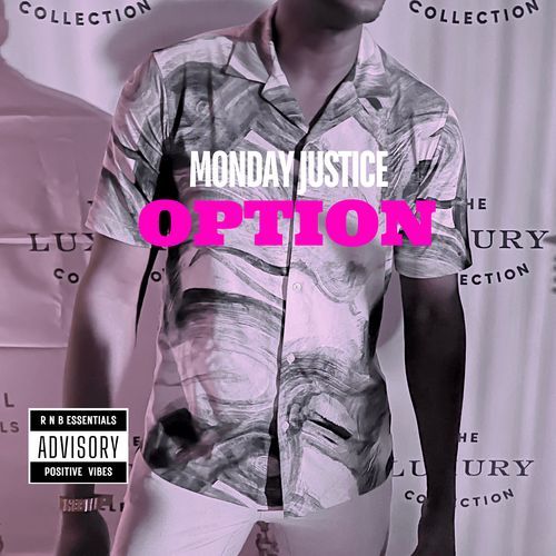 Option cover art