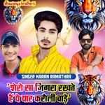 शेरो सा जिगरा रखते हैं ये यार करौली वाड़े