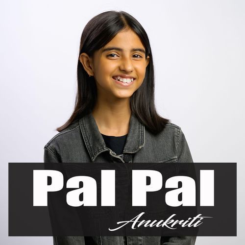 Pal Pal cover art