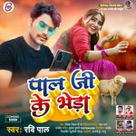 Palji Ke Bheda (Bhojpuri)