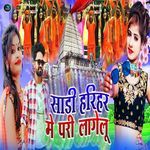 Sadi Harihar Me Pari Lagelu