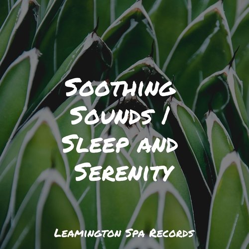 Massage Spa cover art