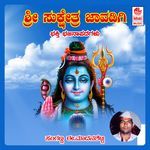 Sloka Om Nama Shivaya