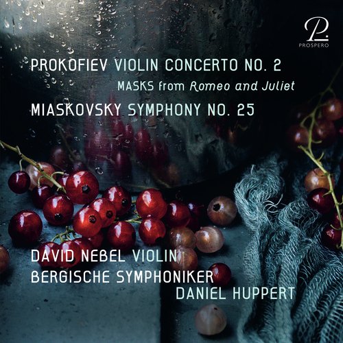 Symphony No. 25, Violin Concerto No. 2_poster_image