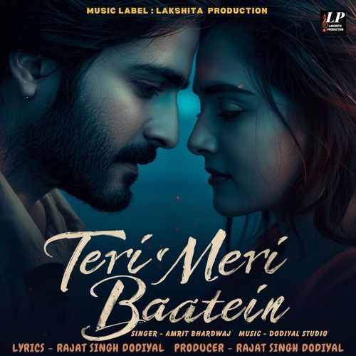 Teri Meri Baatein