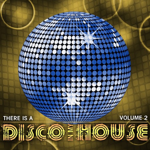 There Is a Disco in My House, Vol. 2